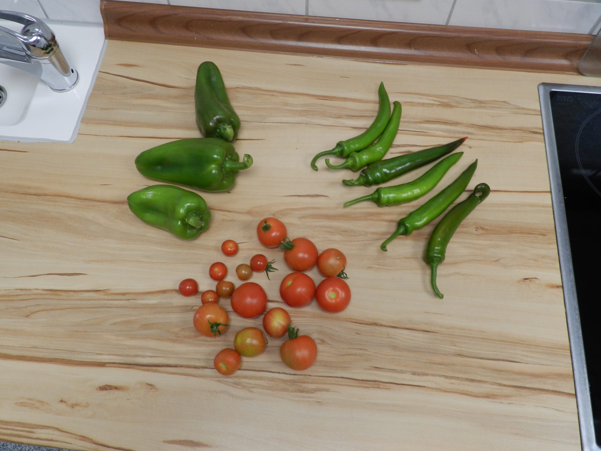 Die Früchte unserer Ernte direkt frisch vom Feld 🌱